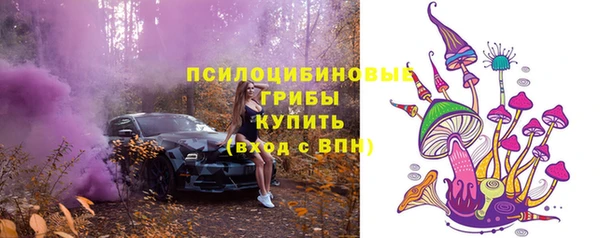 ALPHA PVP Гусев
