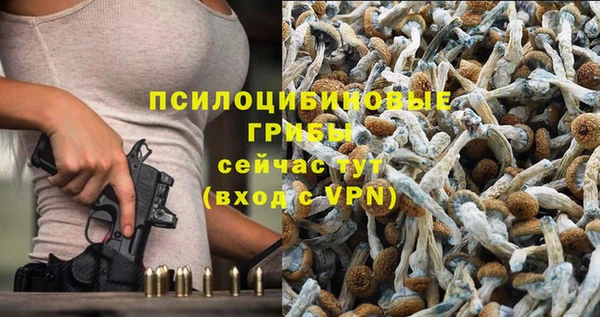 ALPHA PVP Гусев