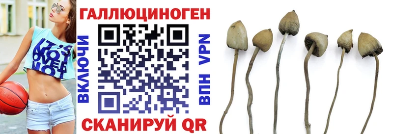 Псилоцибиновые грибы Psilocybine cubensis  Купить где  Кинель 