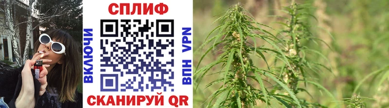 Каннабис VHQ  Купить  Кинель 
